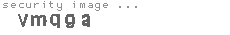 security image