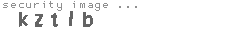 security image